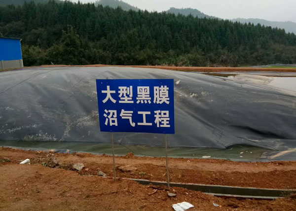 �Ӛ������Ĥ